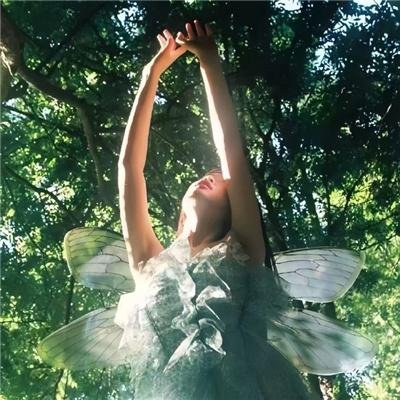 深入敌后:危险营救